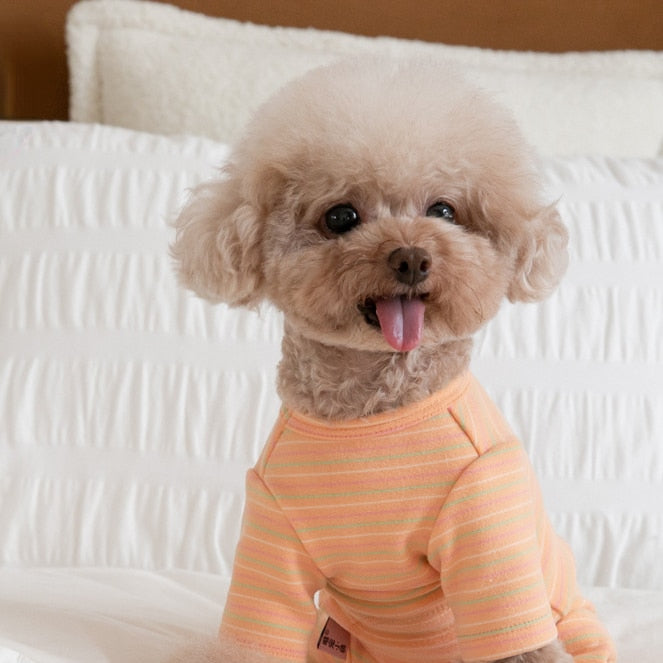 Macacão Algodão Mandale