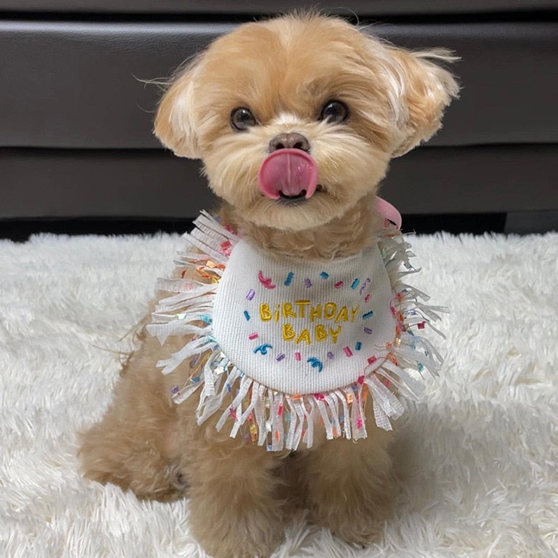 ACESSÓRIO DE ANIVERSÁRIO PET PARTY