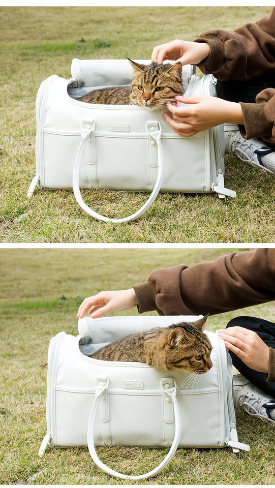 Bolsa Chic Transporte Pet Travel
