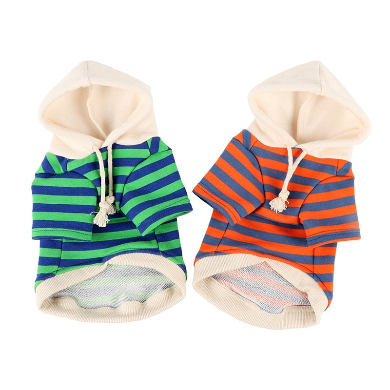 Moletom Pet Hodie