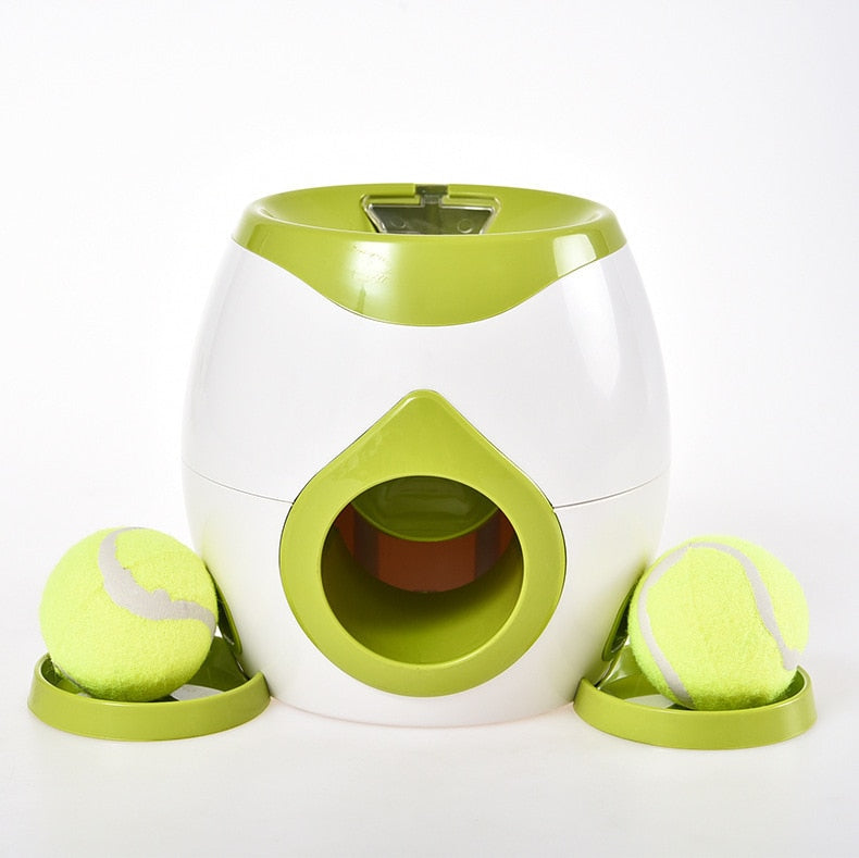 Alimentador Automático Interativo Bols