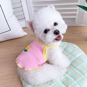 Vestido Pet Lulis