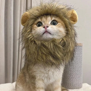 Gorro Pet Leãozinho