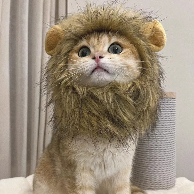 Gorro Pet Leãozinho