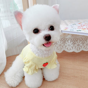 Blusa Pet Magda