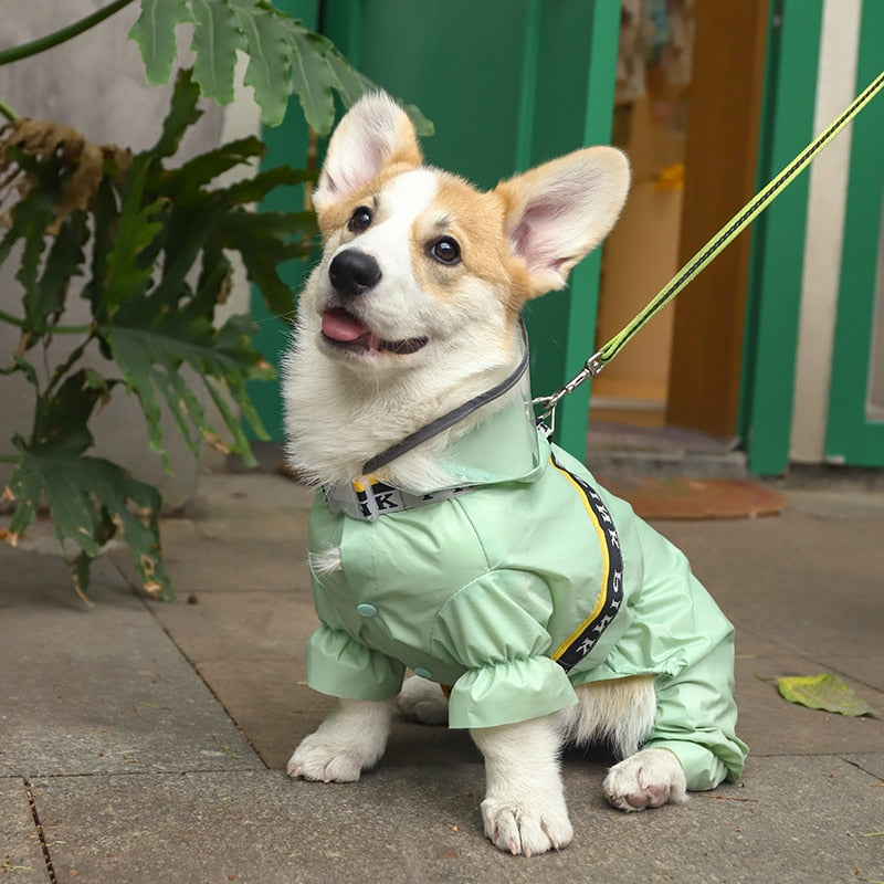 Capa de Chuva Pet Sillas