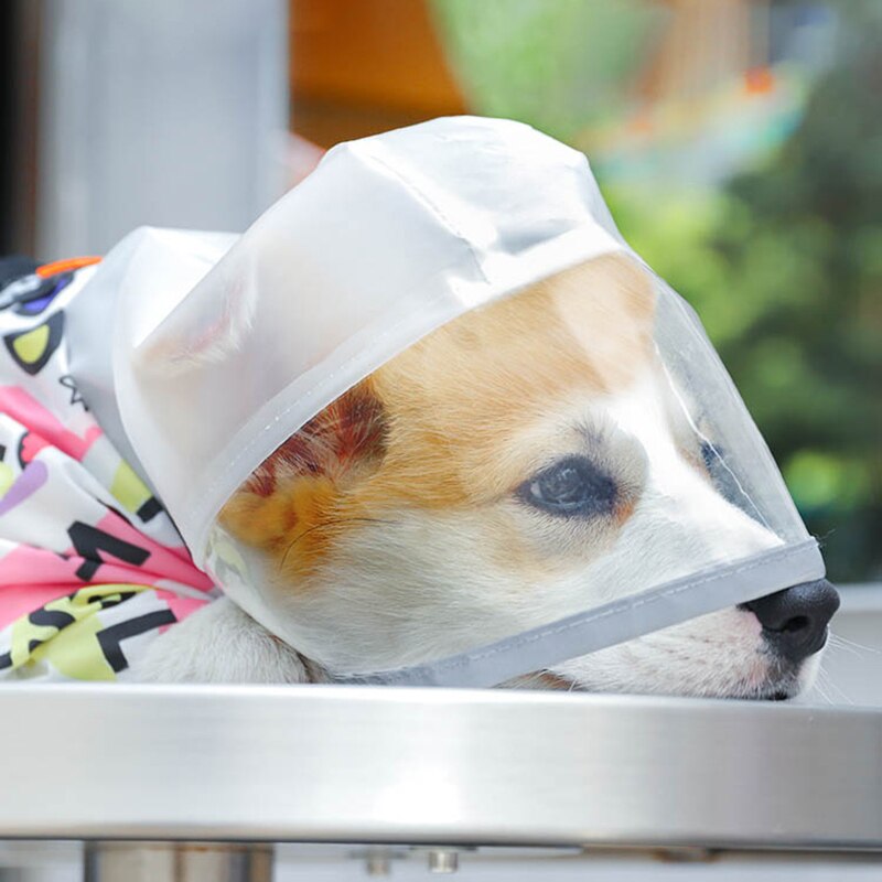 Capa de Chuva Pet Sillas