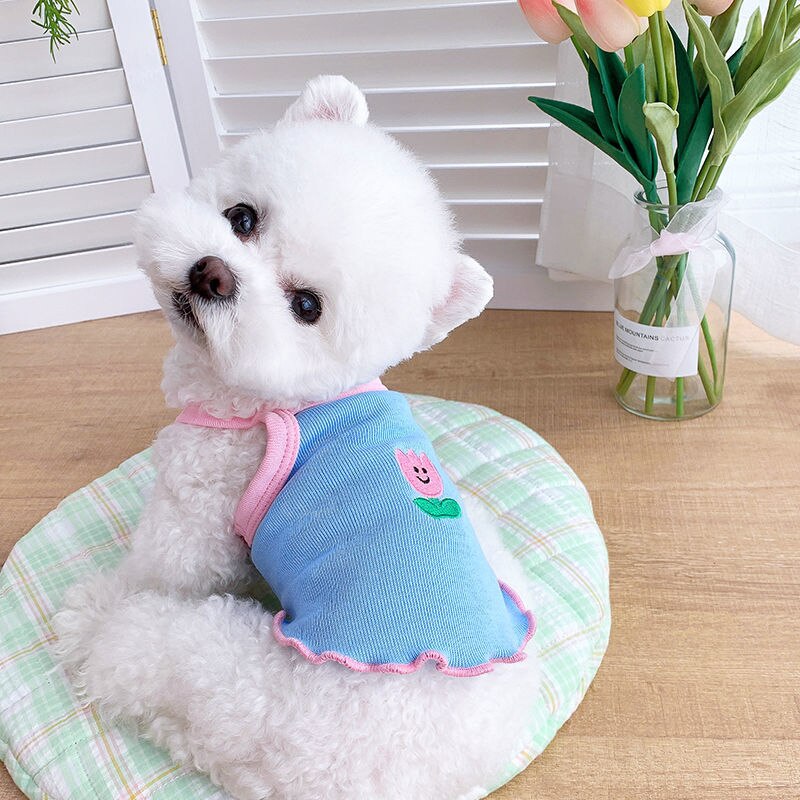 Vestido Pet Lulis