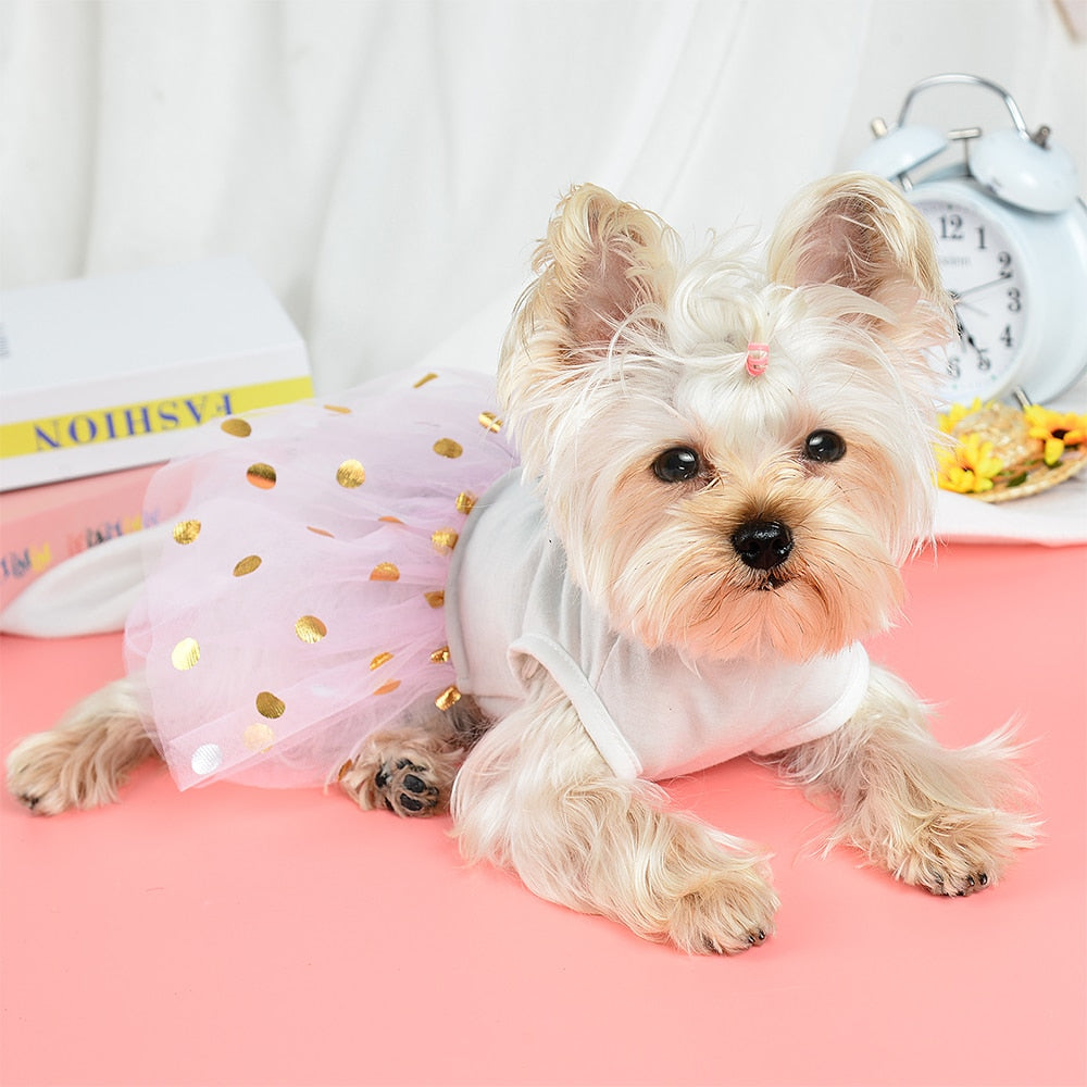 Vestido Coelhinho Pink