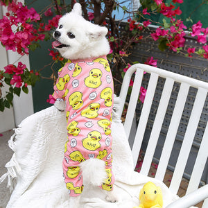 Pijaminha Ducks